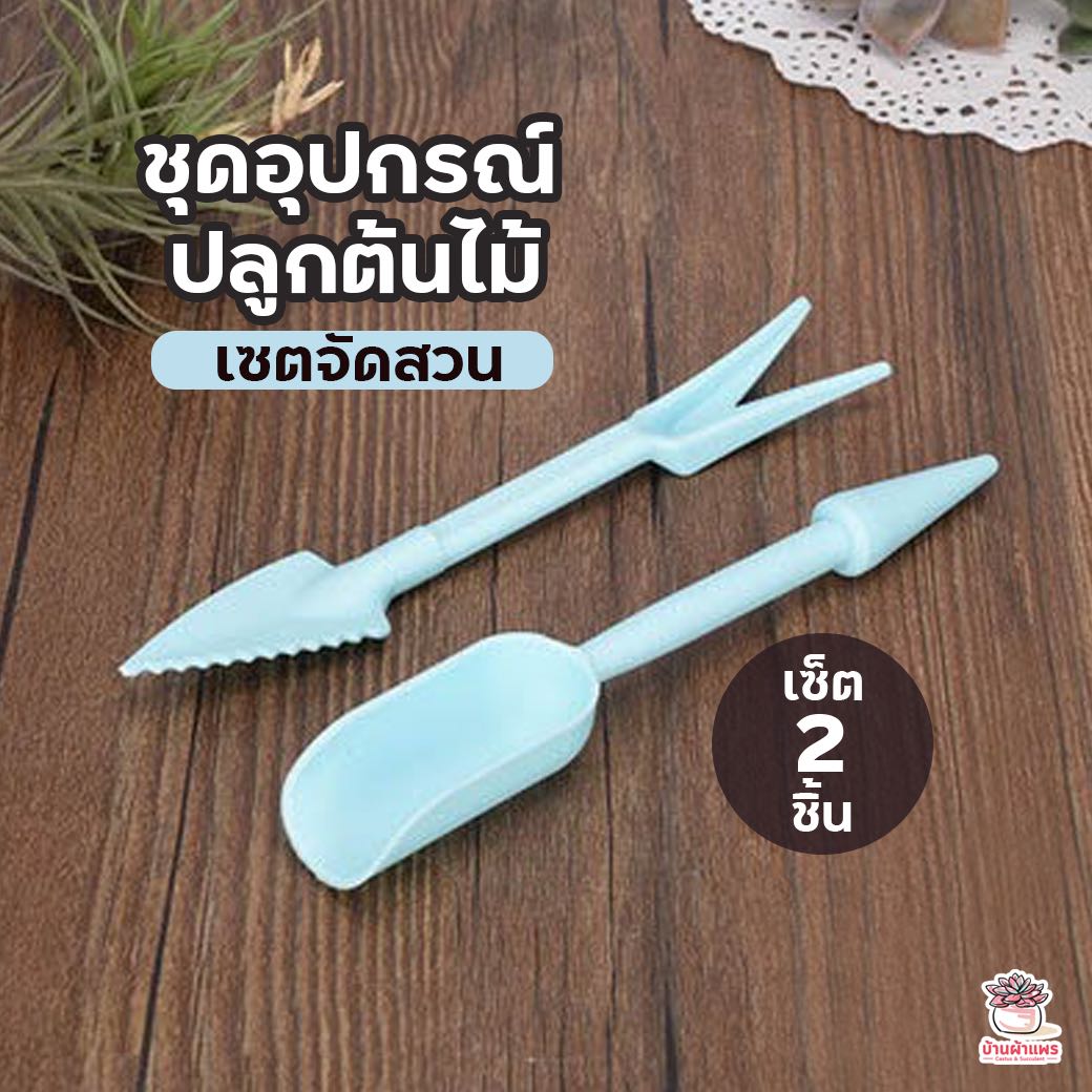 ชุดอุปกรณ์ปลูกต้นไม้ เซต 2 ชิ้น เซตจัดสวน อุปกรณ์ปลูกแคคตัส