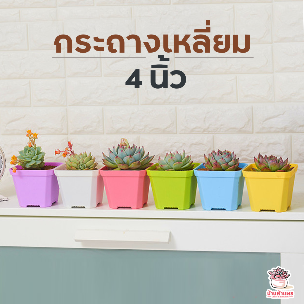 กระถางสี่เหลี่ยม 4 นิ้ว #พาสเทล ( 10 x 7 x 8.5 ซม. ) เนื้อหนาแข็ง