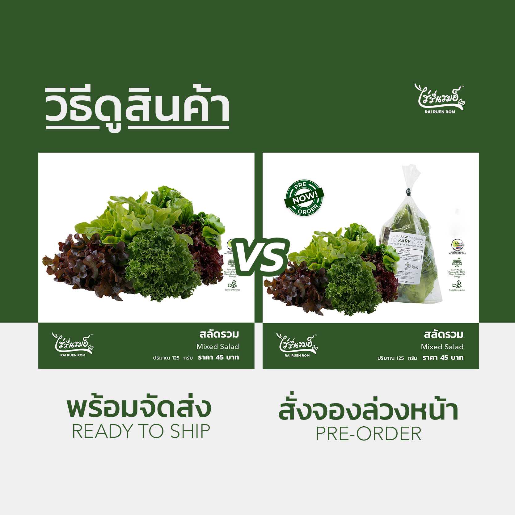 สลัดรวม : Mixed Salad