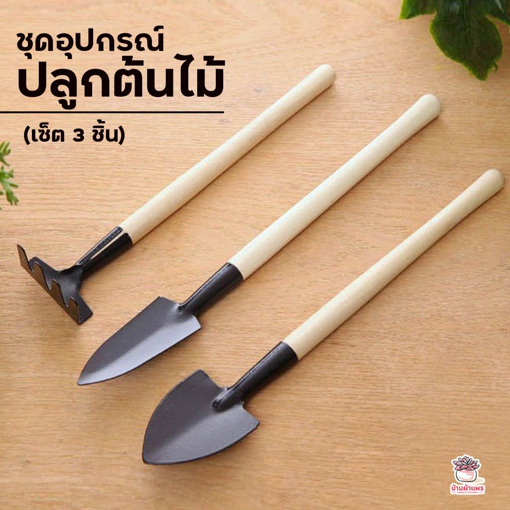 ชุดอุปกรณ์ปลูกต้นไม้ (เซ็ต 3 ชิ้น) เซ็ตจัดสวน อุปกรณ์ปลูกแคคตัส