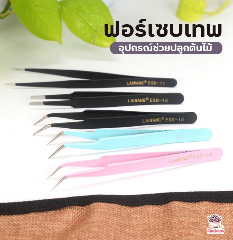 ฟอร์เซบเทพ อุปกรณ์ช่วยปลูกต้นไม้ แคคตัส กระบองเพชร cactus&succulent