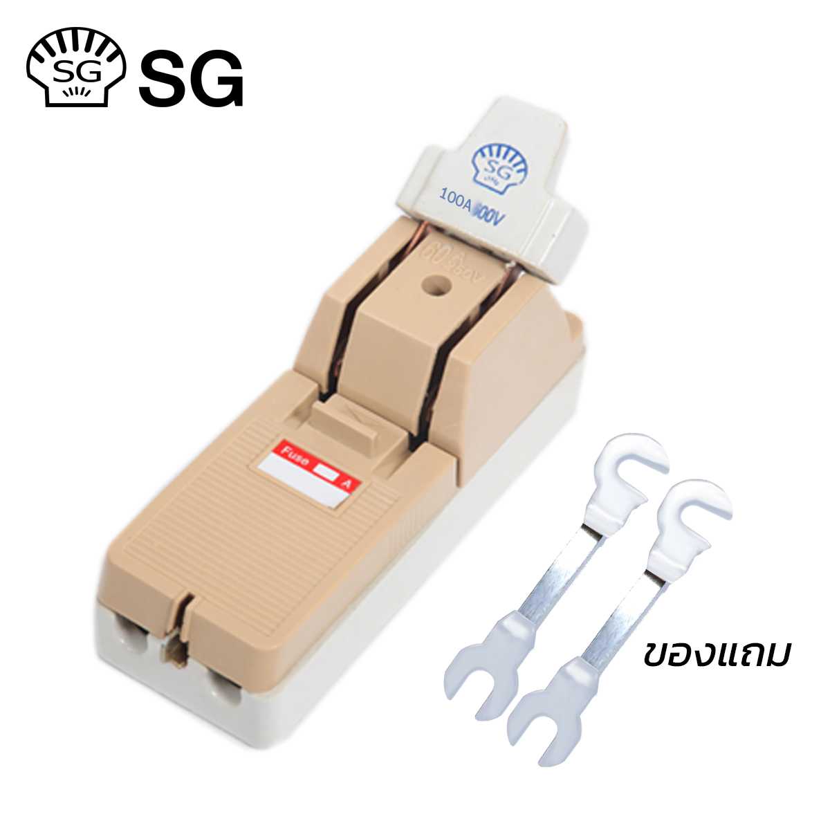 คัทเอาท์ตราหอย SG 2P 100A