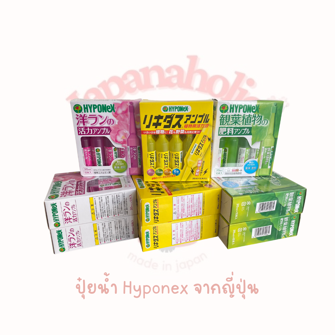 ปุ๋ยน้ำ Hyponex จากญี่ปุ่น