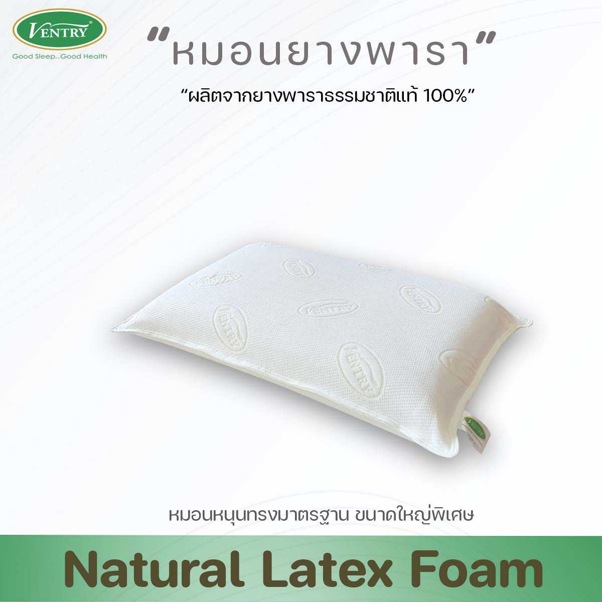หมอนยางพารา ไซส์ใหญ่พิเศษ หมอน Euro  Ventry Euro Pillow