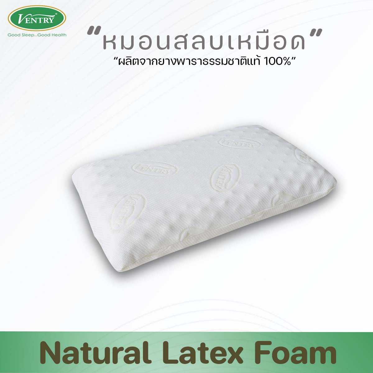 หมอนเพื่อสุขภาพ หมอนทรงมาตรฐานพร้อมปุ่มนวดสัมผัส  Ventry Standard Knobby