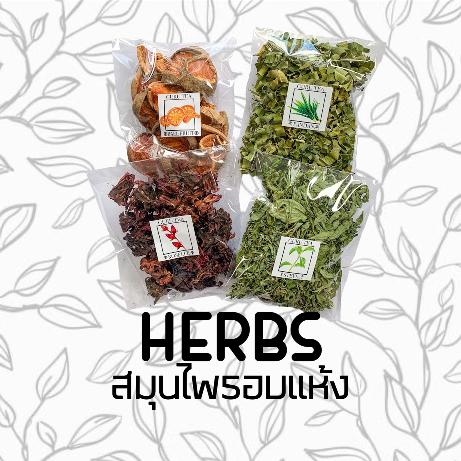 Guru Tea | LINE SHOPPING
