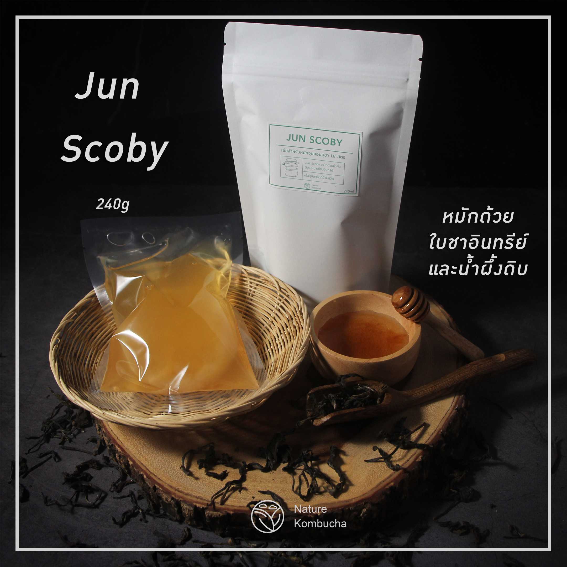 Scoby Jun Komcucha | หัวเชื้อ จุน คอมบูชา หรือเชมเปญแห่งคอมบูชา  | Nature Kombucha