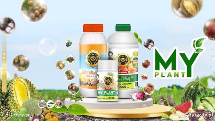 มายเพาเวอร์เซท 1-2-3