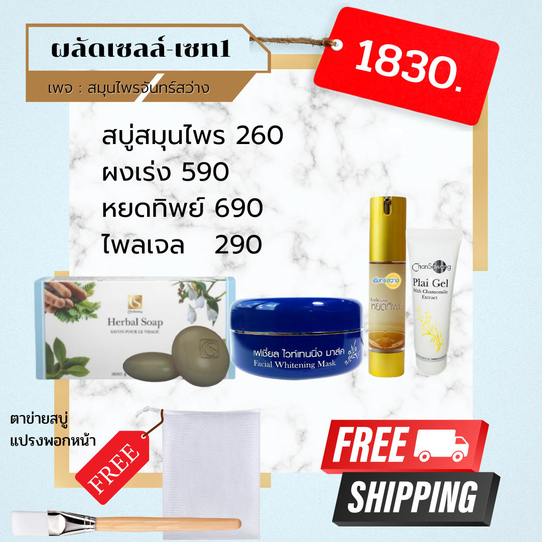 ผลัดเซลล์เซท1