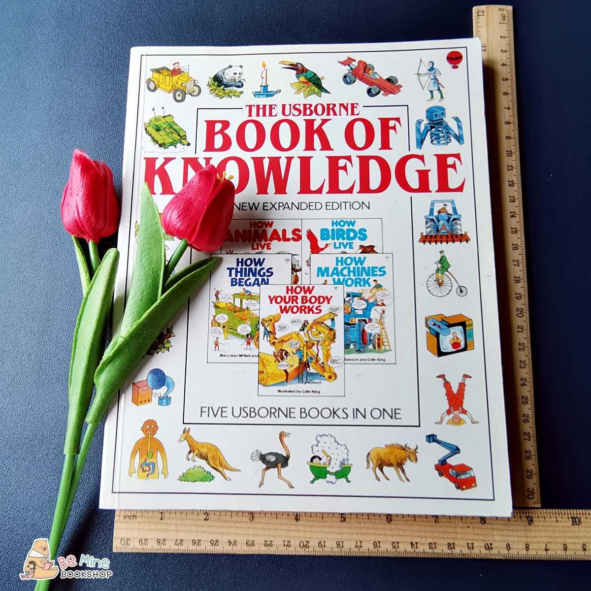 ❌SOLD❌║The Usborne Book of Knowledge ║★มือสอง ★ปกอ่อน