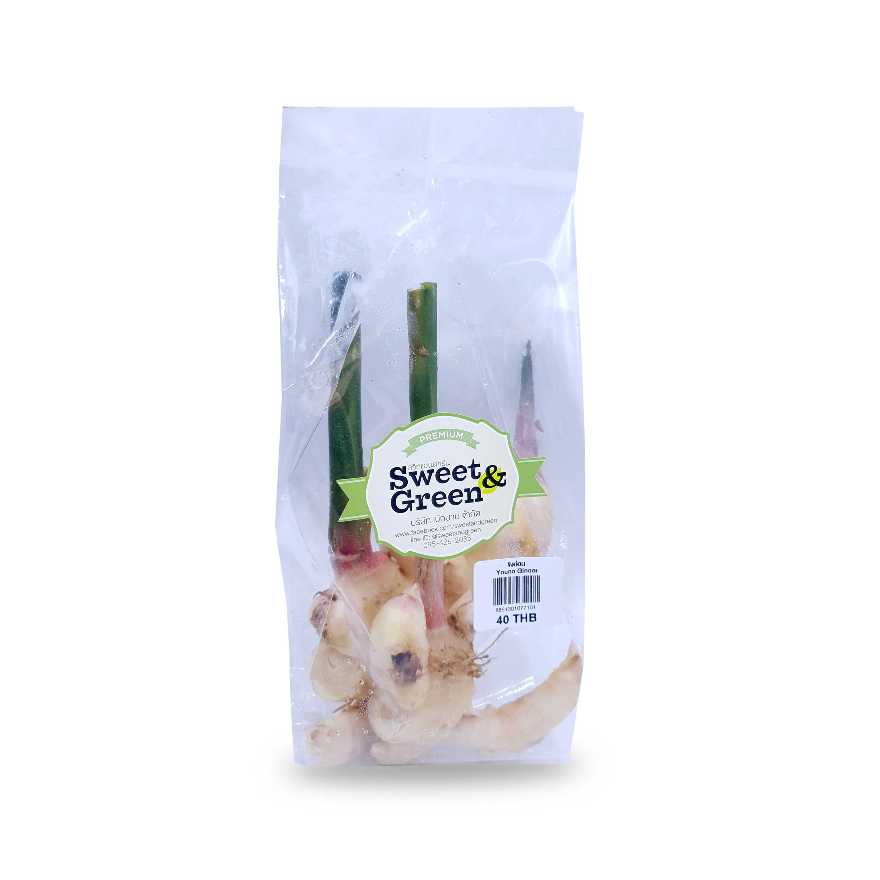 ขิงอ่อน 200 กรัม (Young ginger 200 g. )