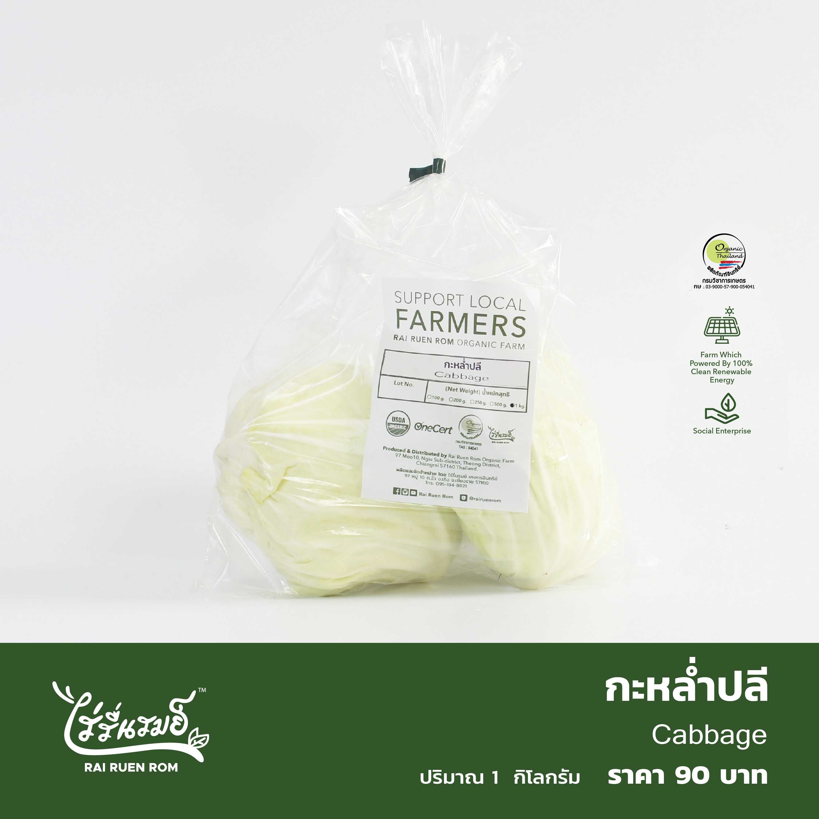กะหล่ำปลี : Cabbage