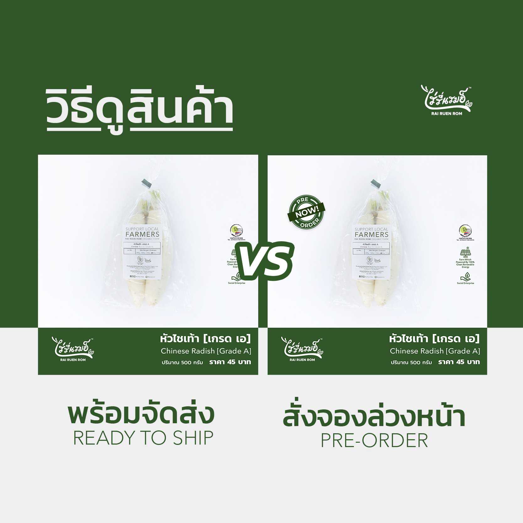 หัวไชเท้า : Chinese Radish