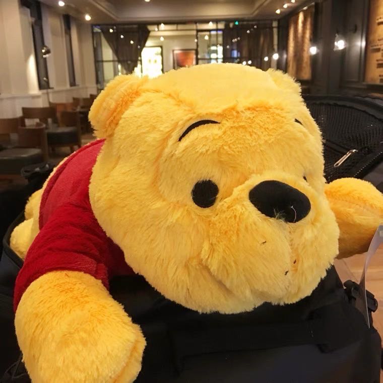 Winnie the Pooh doll 🍯 (60 cm) 