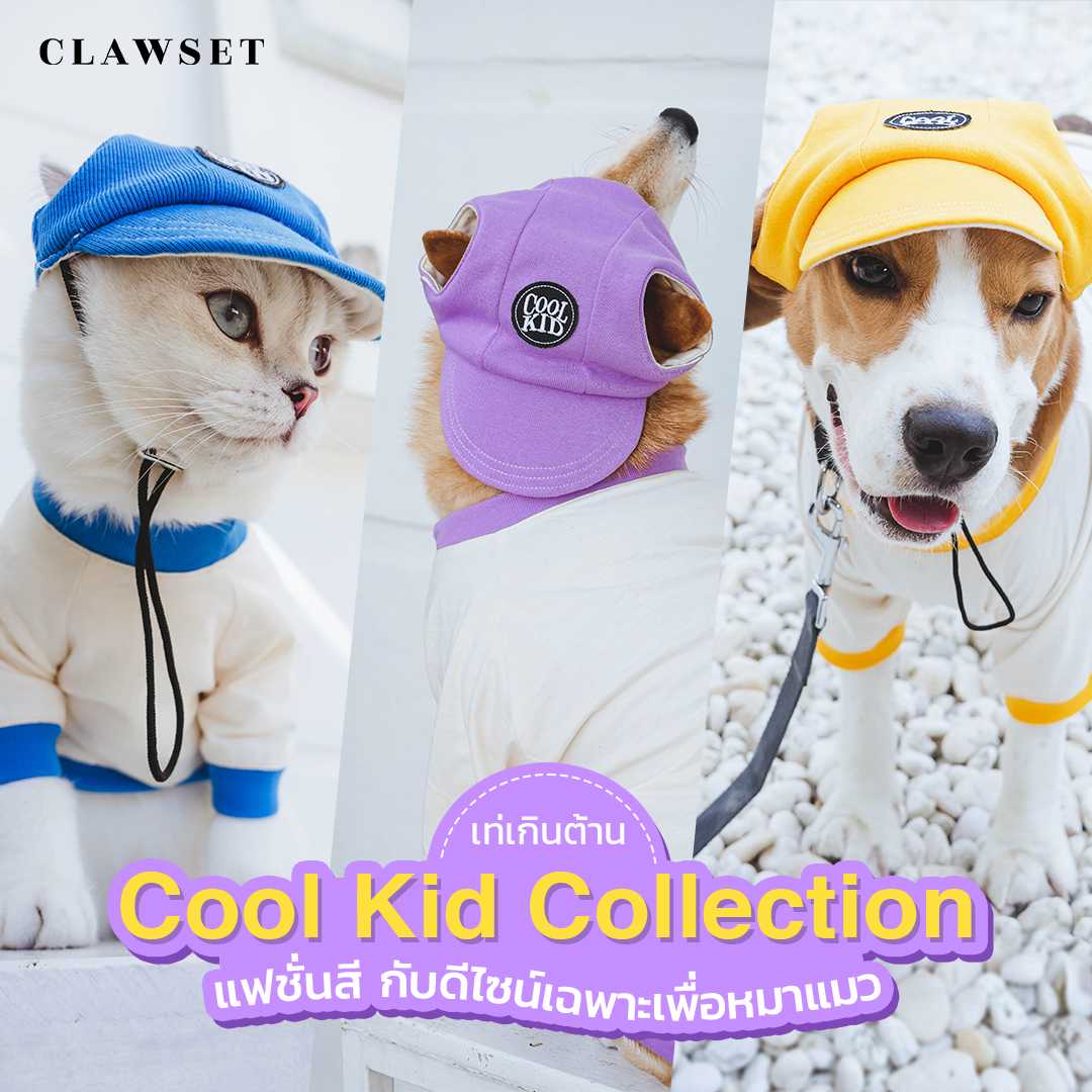 เสื้อสัตว์เลี้ยง - เสื้อยืด cool kid