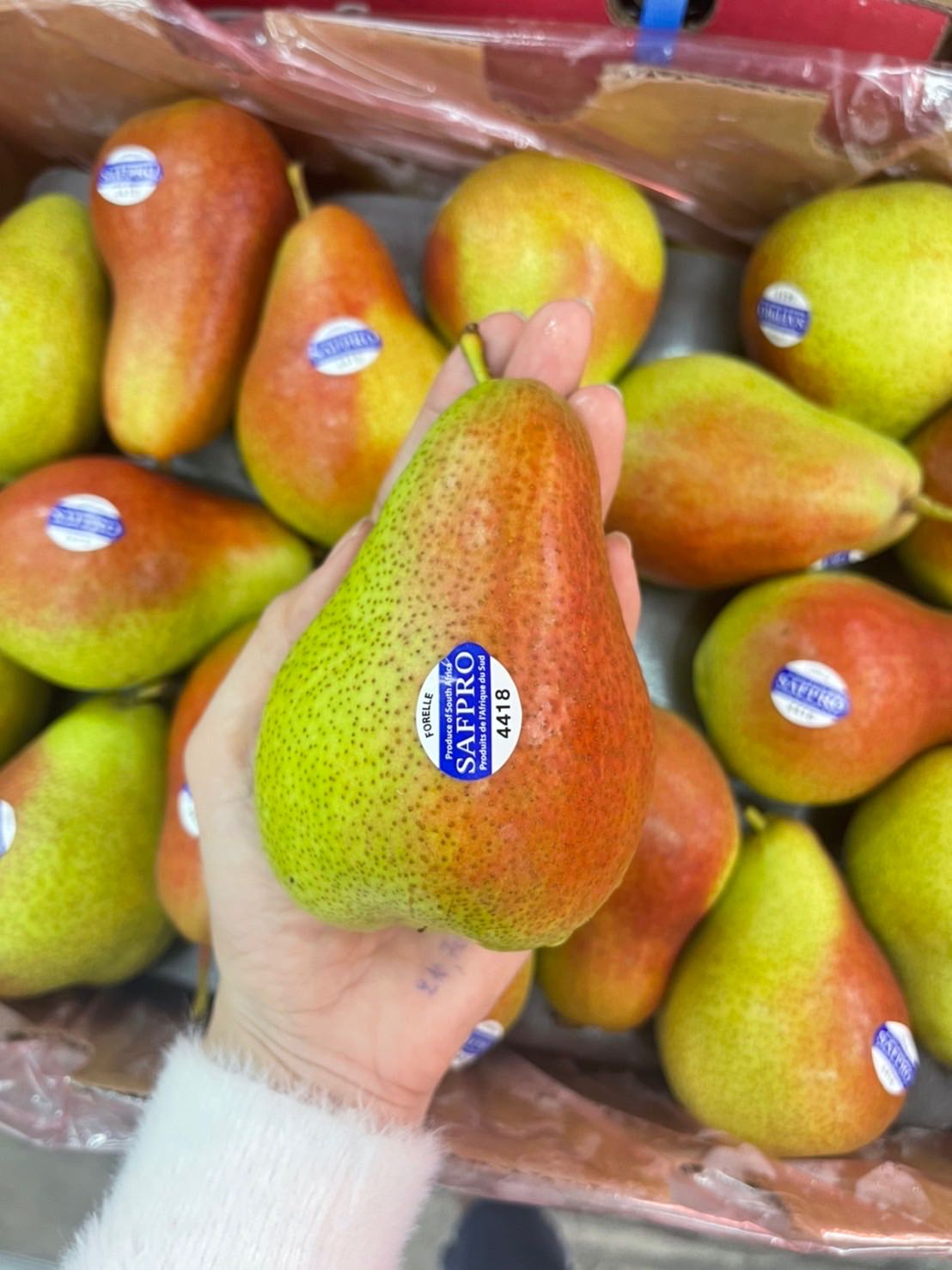 🍐 แพรแดง South Africa ขนาด #52 ลูก🍐 