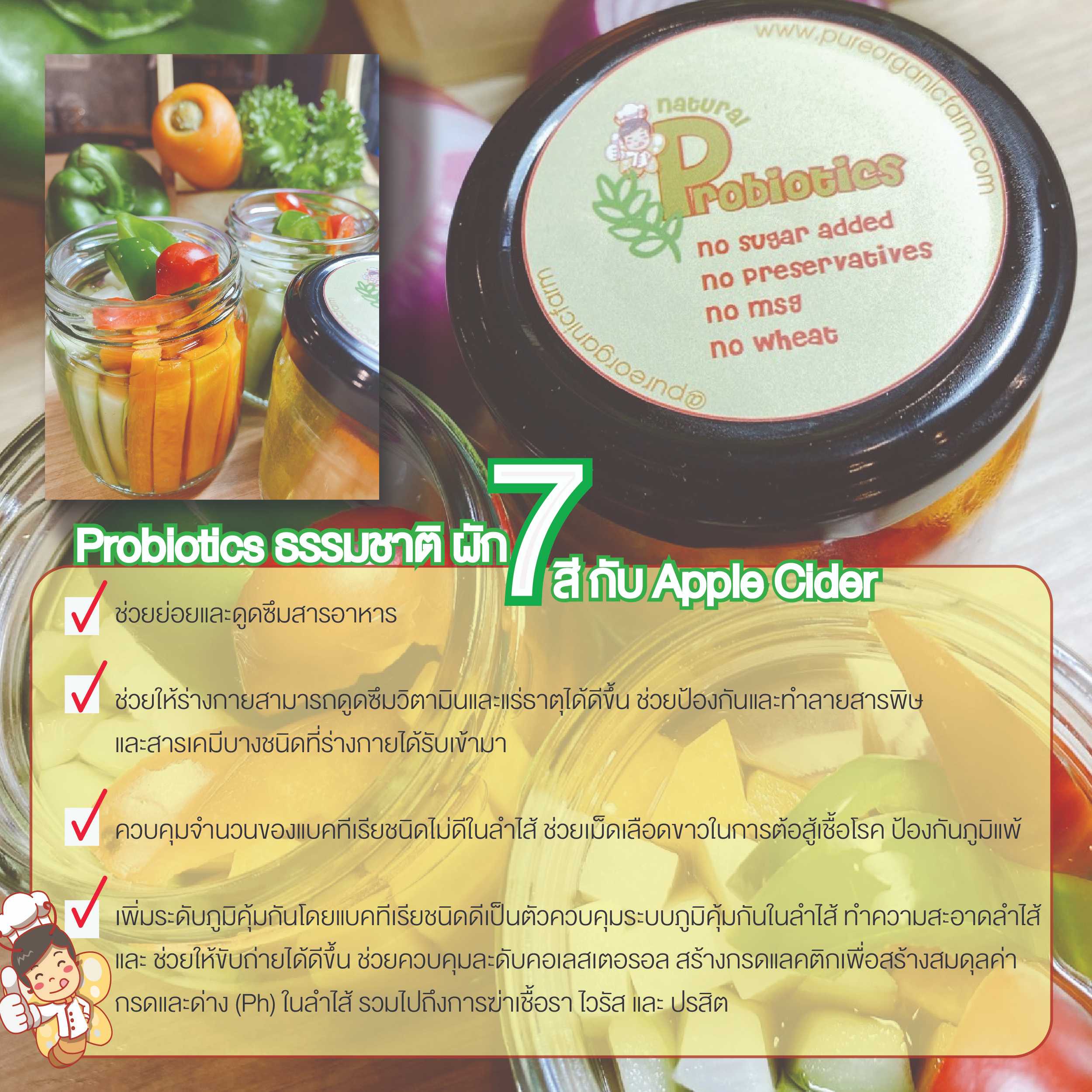 OTH05 PROBIOTICS จากผัก 7 สี ดองด้วย Applle CIder