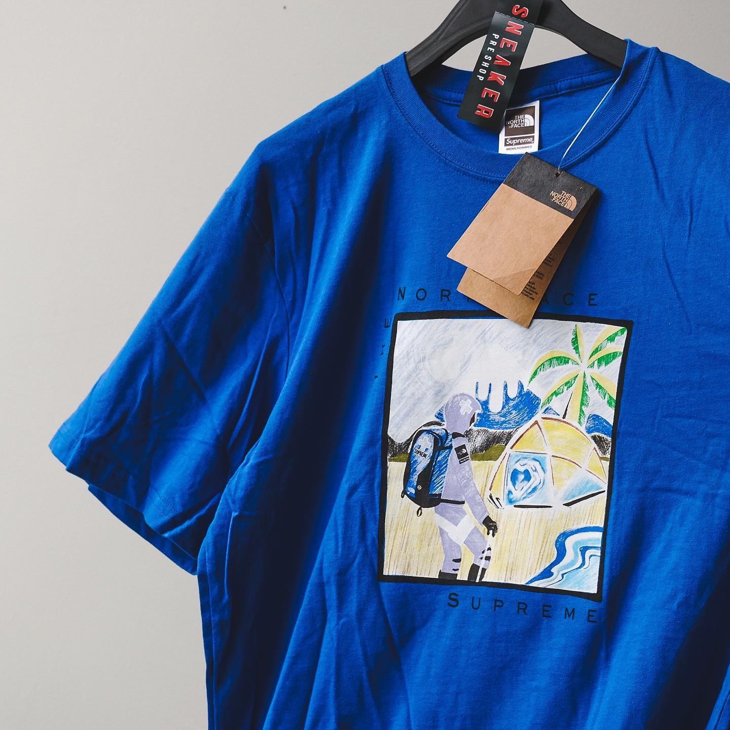 Supreme x The North Face Sketch Tee Blue
