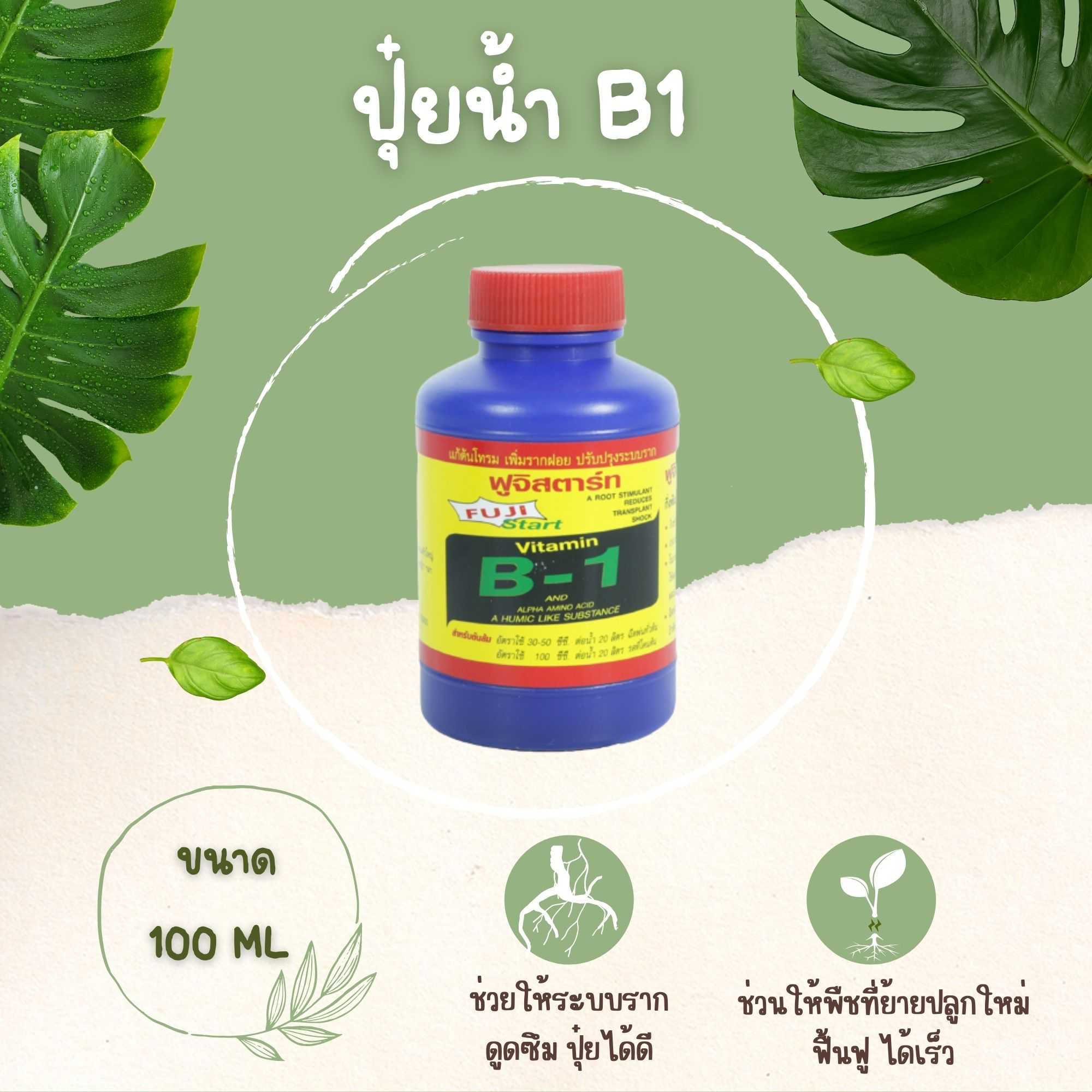 ปุ๋ย วิตามิน-B1 💢 เร่งราก กิ่งตอน กิ่งปักชำ ช่วยให้พืชที่ย้ายตัวปลูกใหม่ฟื้นได้เร็ว