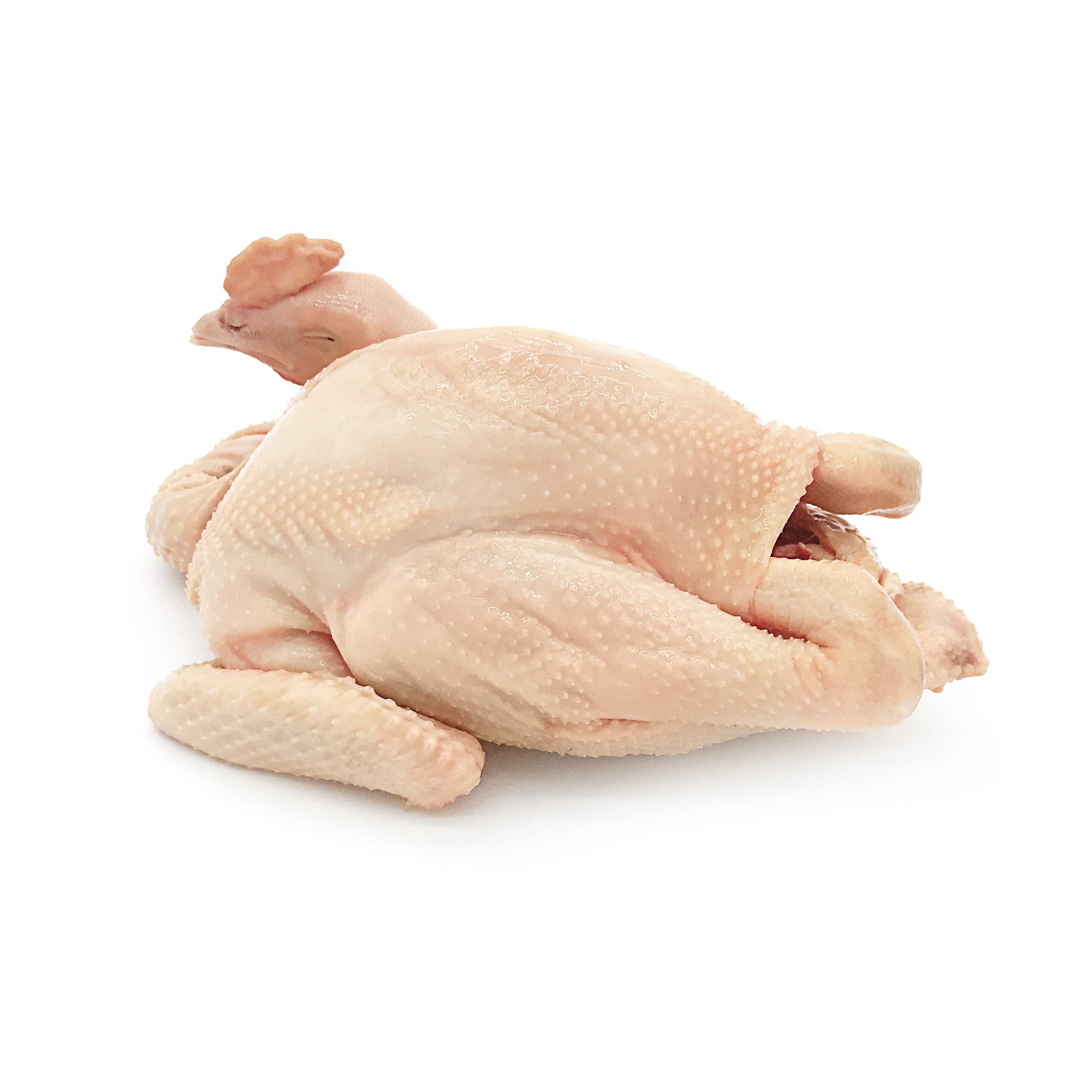 ไก่บ้าน  (ราคาตามชั่ง)(ร้านไก่อิสลาม)ตัวละประมาณ