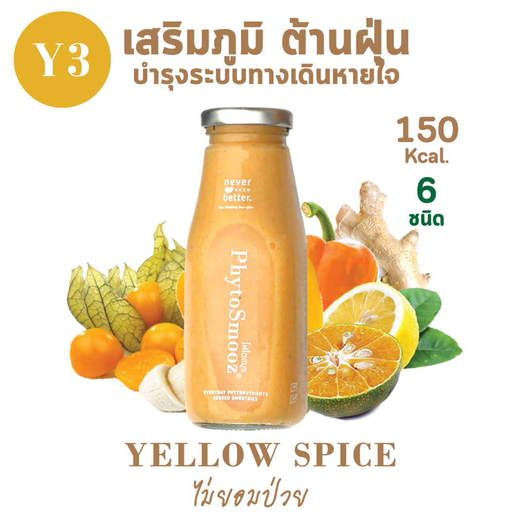 Y3 - YELLOW SPICE