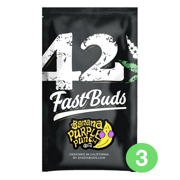 FastBuds - Banana Purple Punch Auto (Original Package Only)