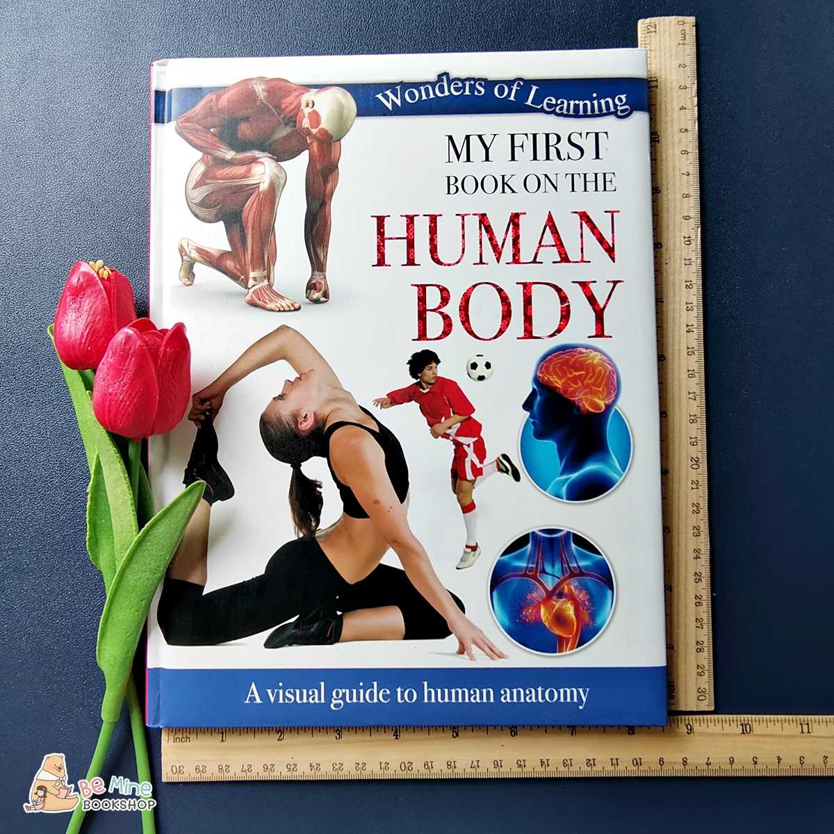 ❌sold❌ร่างกายมนุษย์║Human Body║★มือสอง ★ปกนวม