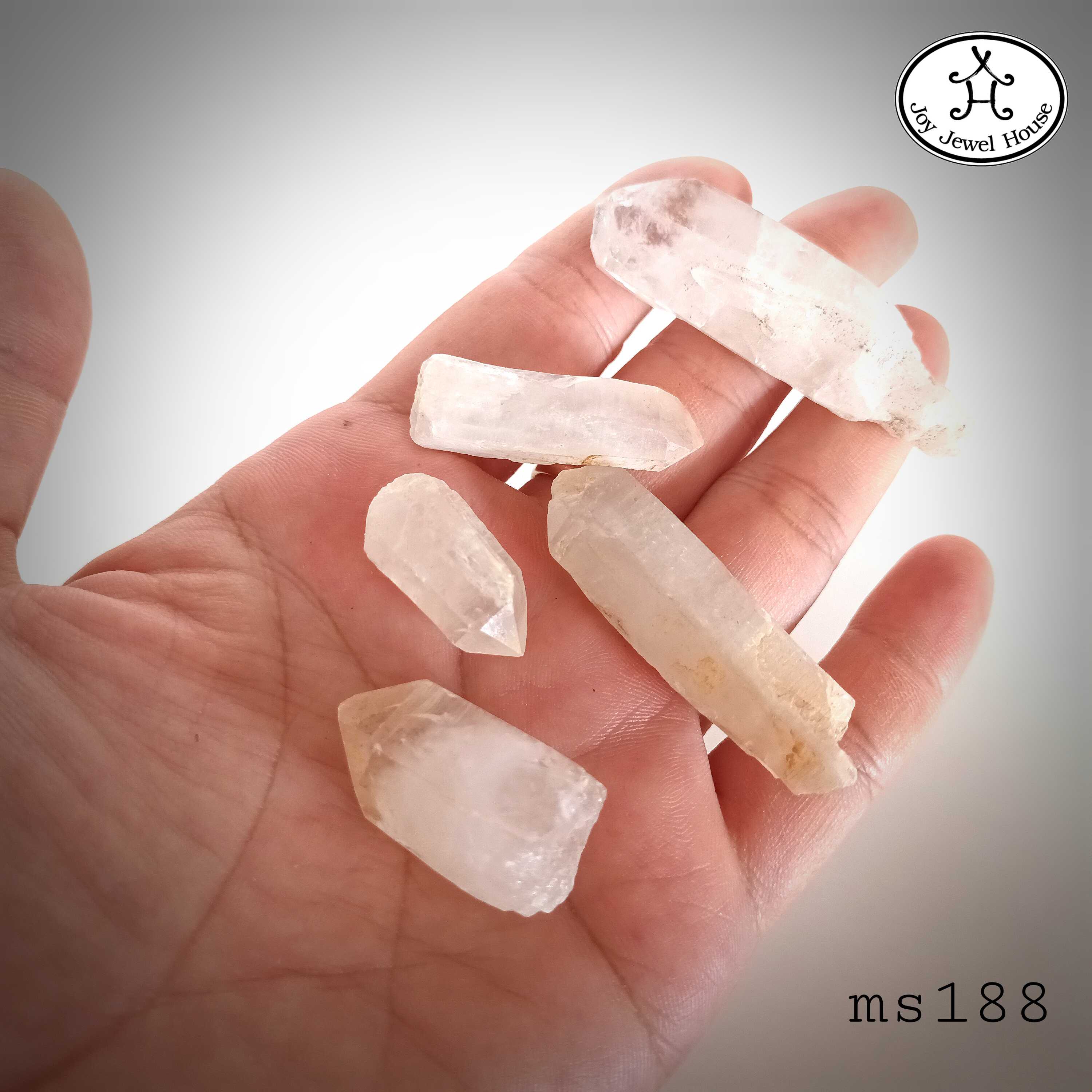 ms188 หินเขี้ยวหนุมาน (1แพ็ค 5 ชิ้น)