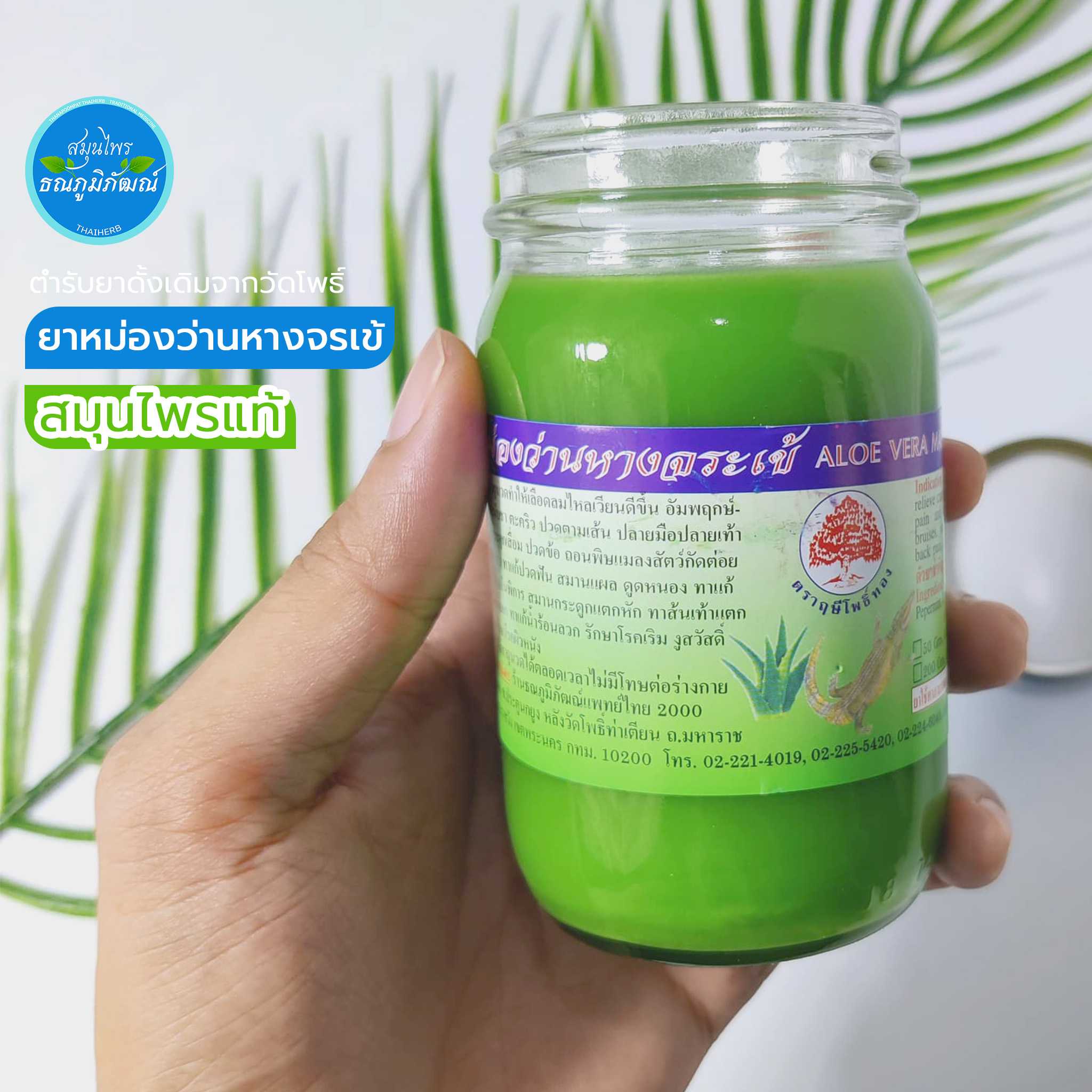 ยาหม่องว่านหางจรเข้