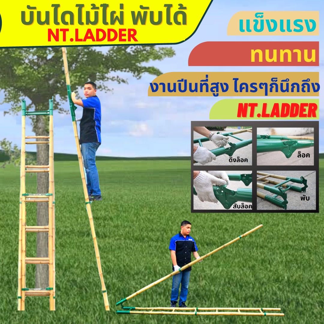 An Image