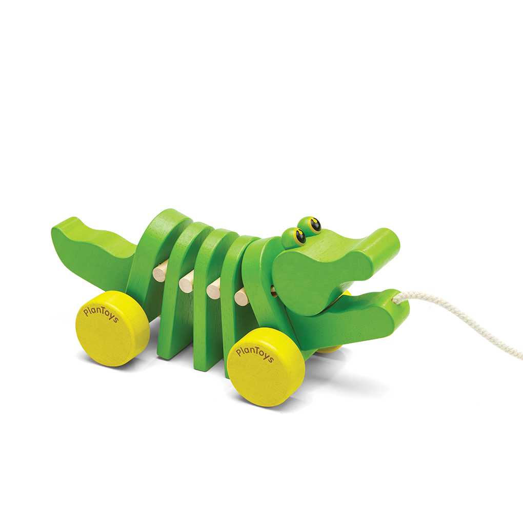 Dancing Alligator จระเข้ลากจูง