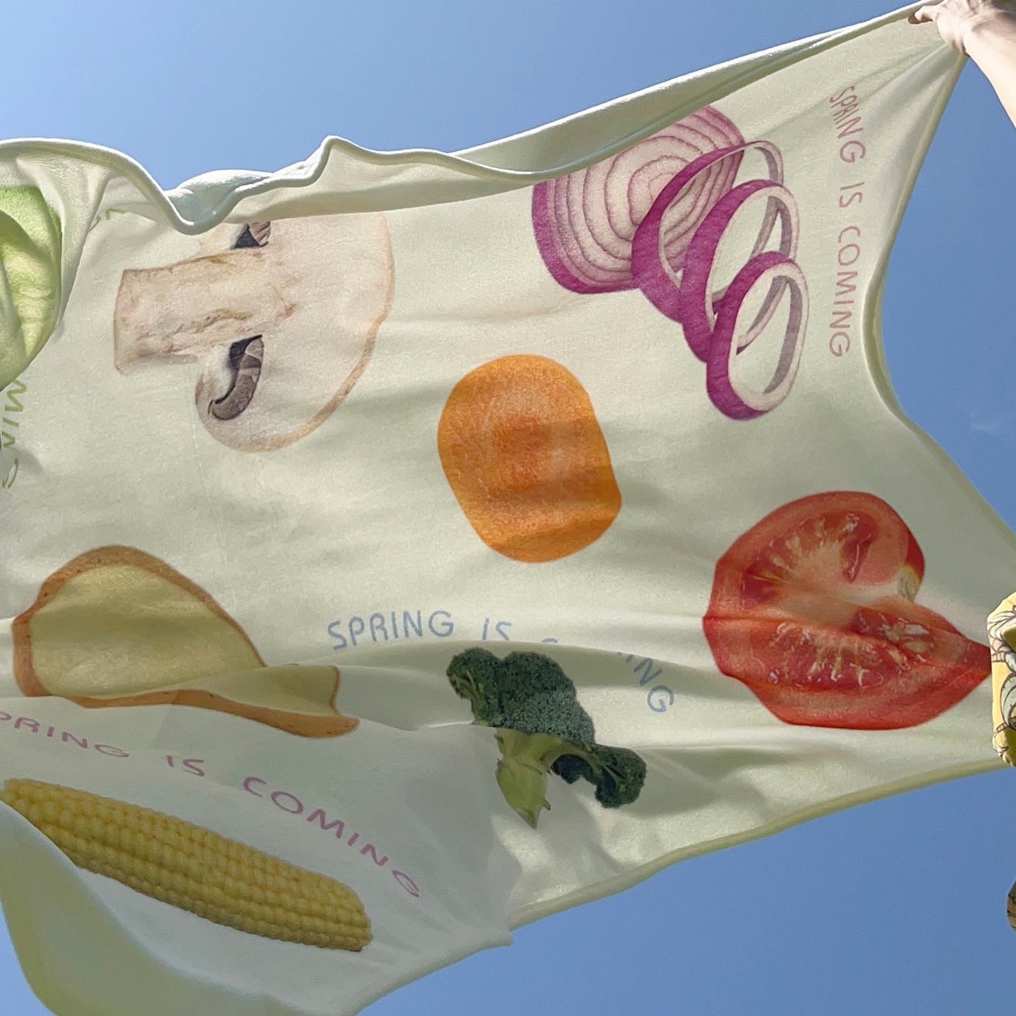 Vegetable and food blanket (Pre-order)