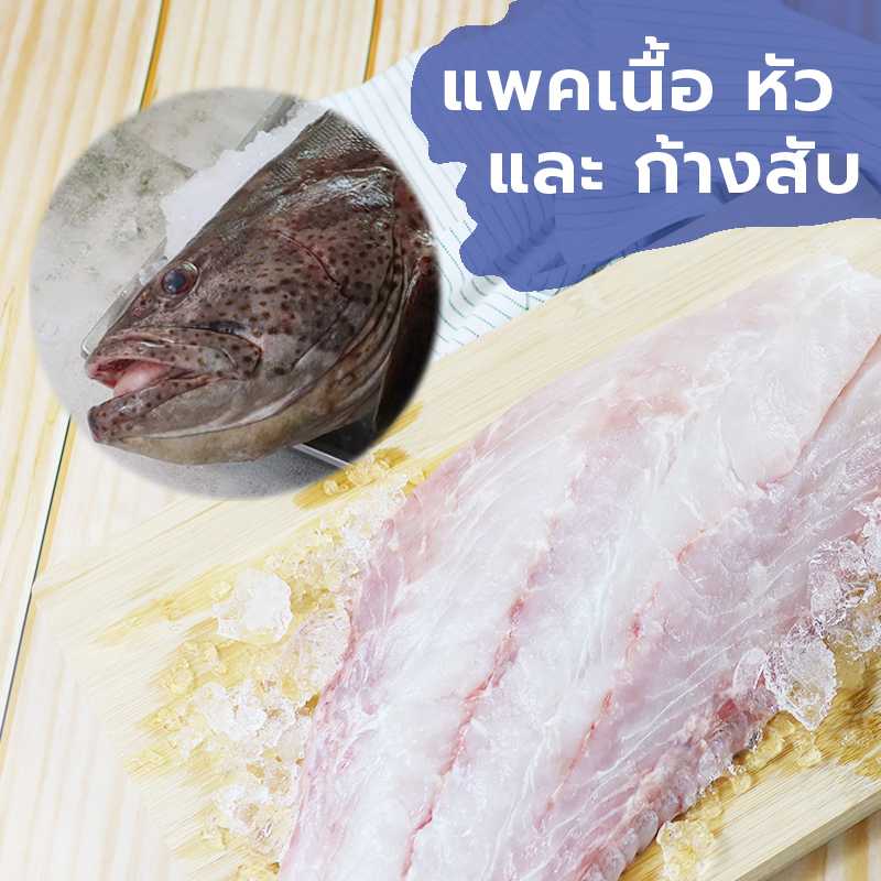 ปลาเก๋าดอกทะเลแล่ทั้งตัว[ราคาต่อKg] 海花石斑鱼雕花新鲜整条[每公斤价格] Sea Grouper Fillet (Whole Body)[Price per Kg]