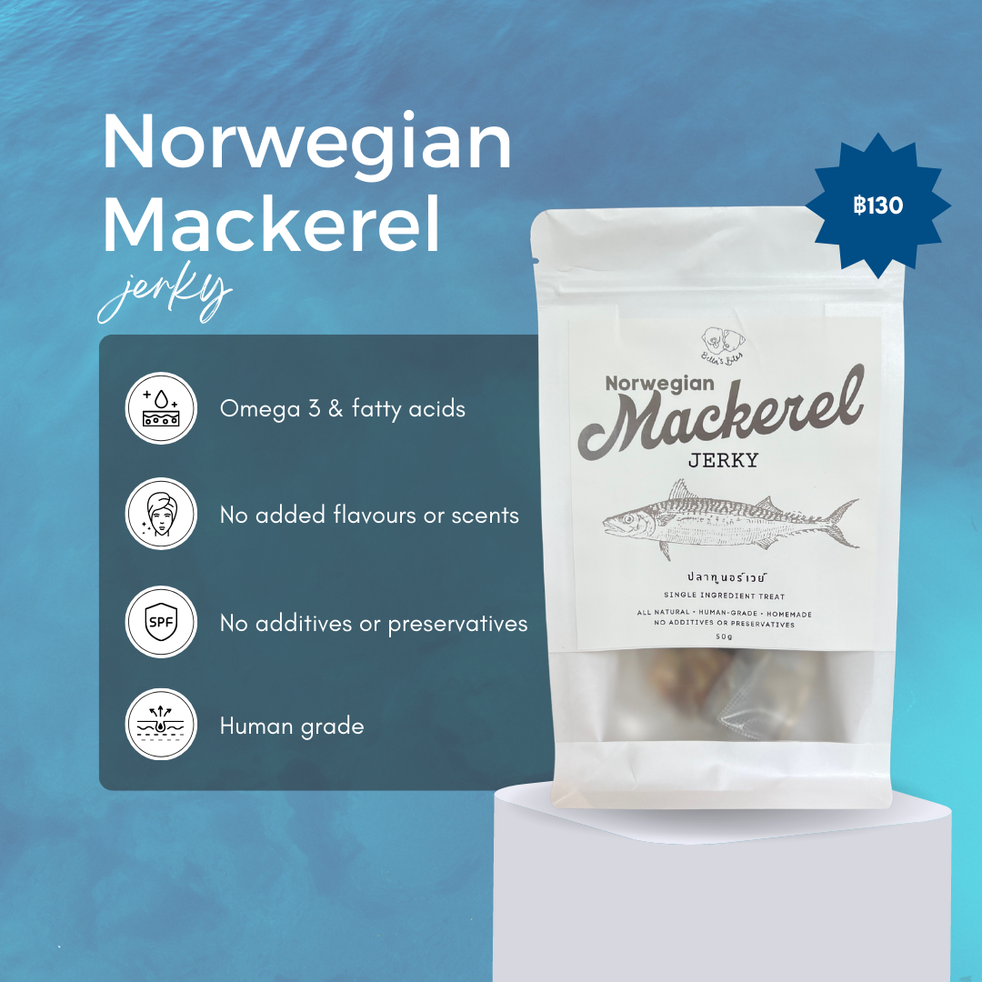 Norwegian Mackerel Jerky | เนื้อปลาทูนอร์เวย์ 50g