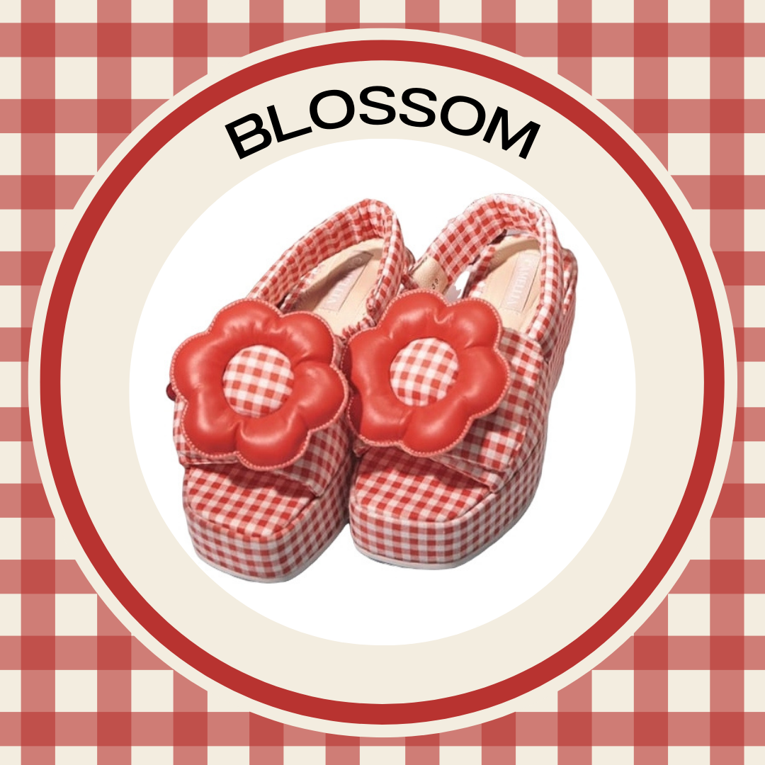 BLOSSOM RedXmas