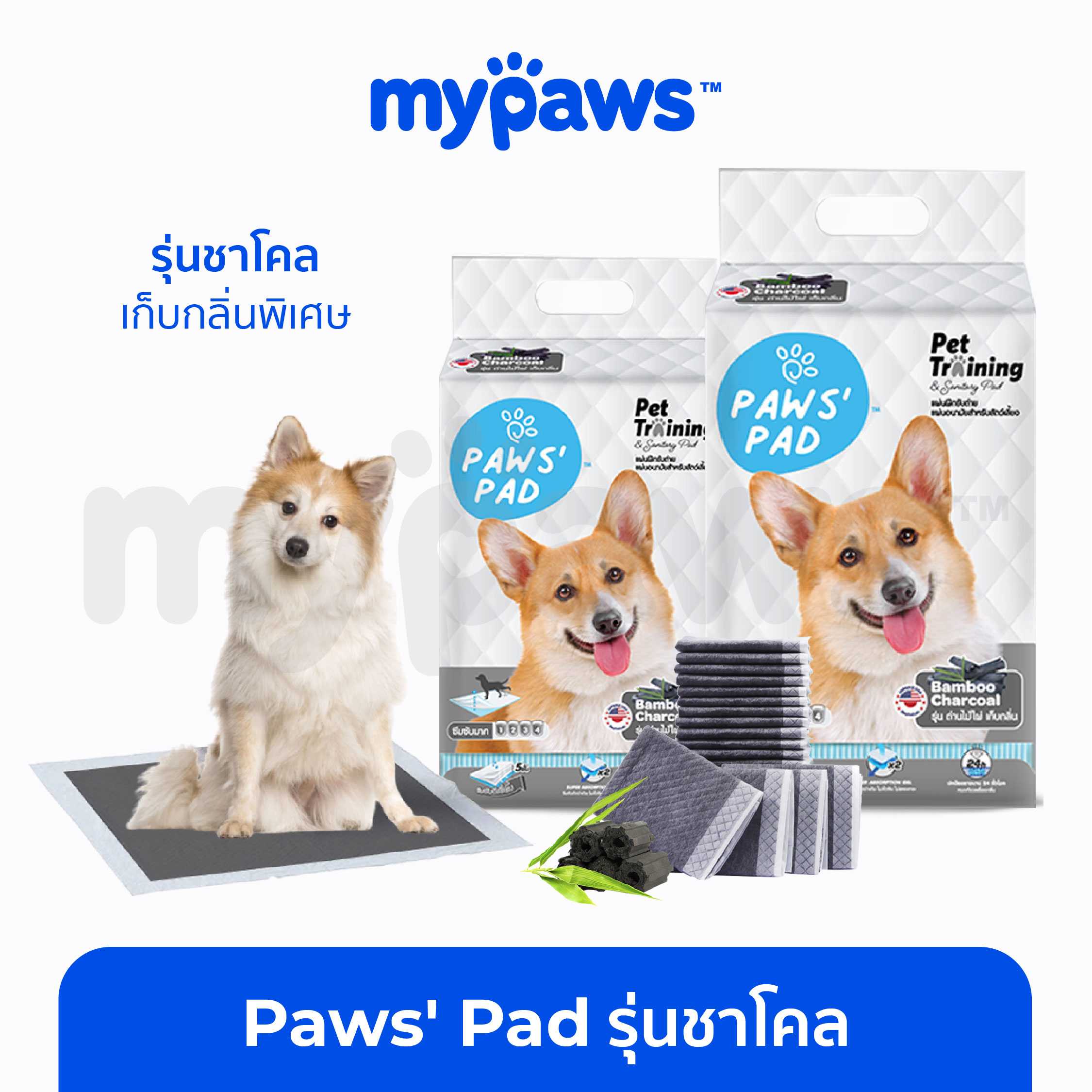 แผ่นรองฉี่สุนัข (รุ่นชาโคล) ช่วยเรื่ิองดูดซับกลิ่นได้เป็นอย่างดี