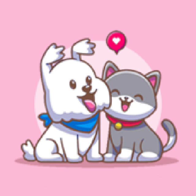 An Image