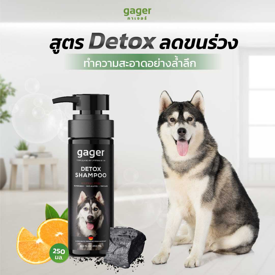 gager แชมพูอาบน้ำสุนัข ลดขนร่วง อ่อนโยน สูตรDetox สกัดจากถ่านชาโคล สำหรับทุกพันธ์และทุกวัย 250ml.