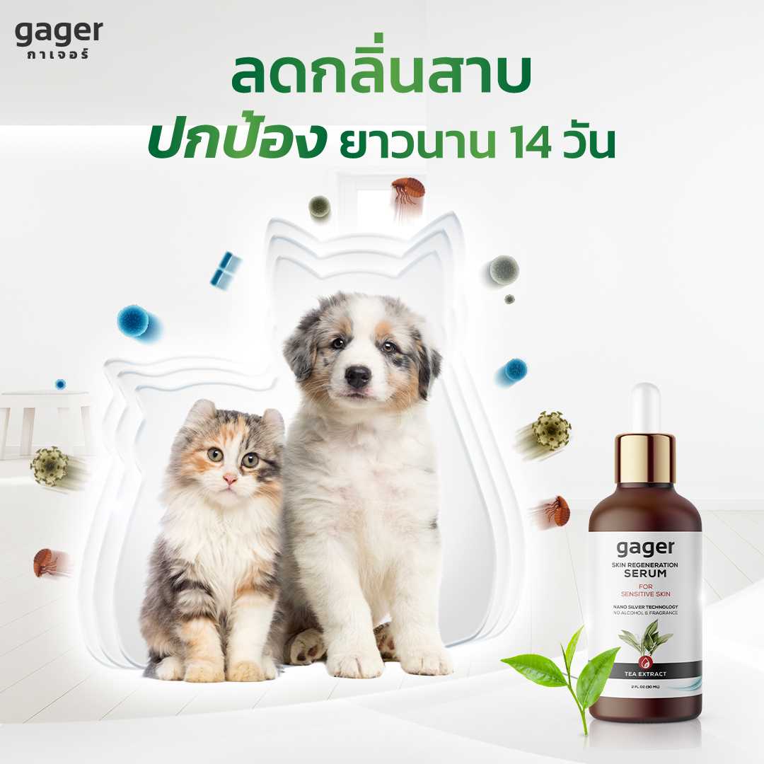 gager เซรัมนาโนซิลเวอร์ ดับกลิ่นสาบสุนัขและแมว ยุง แมลง ไร ไข่เห็บหมัด และแบคทีเรีย ขนาด 30 ml.