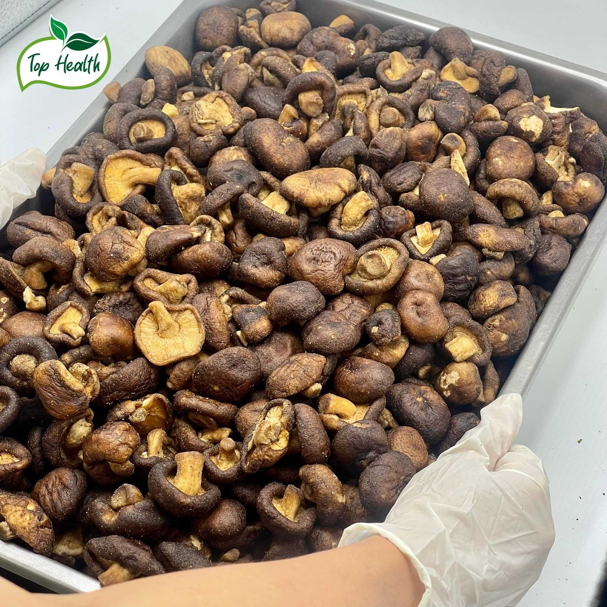 [ส่งฟรี] เห็ดหอมชิตาเกะ ( Shiitake Mushroom ) อบกรอบ ไฟเบอร์สูง มีโปรตีนสูง