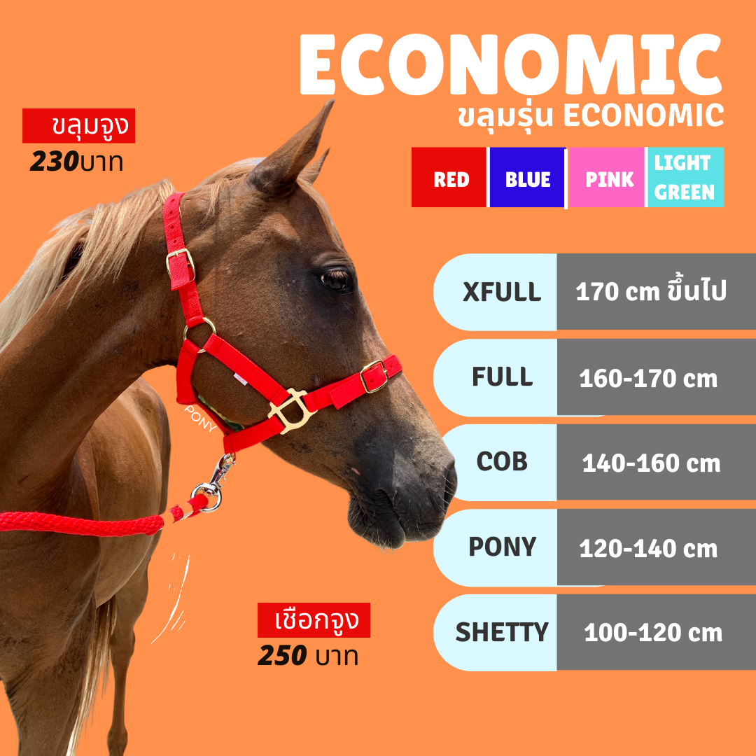 ขลุมจูงม้า ECONOMIC