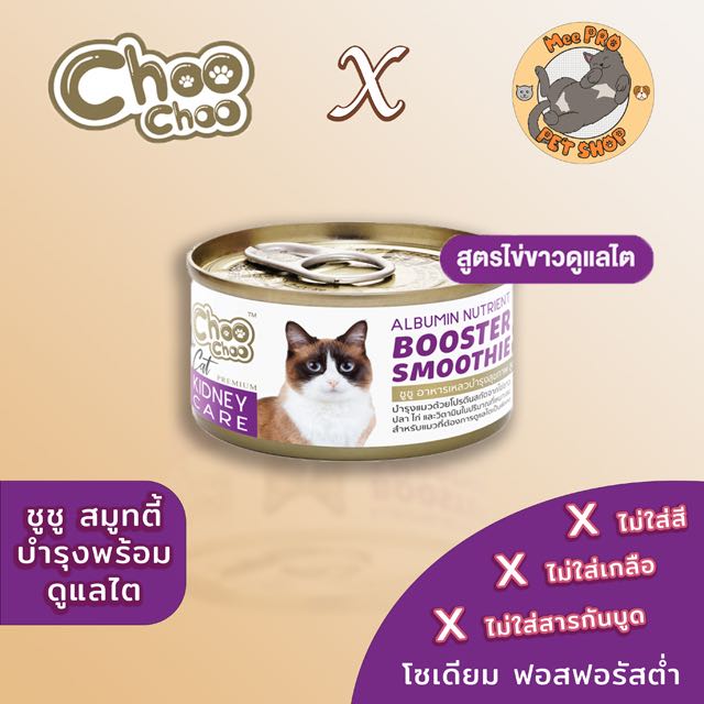 Choo Choo Booster Smoothie Kidney Care
