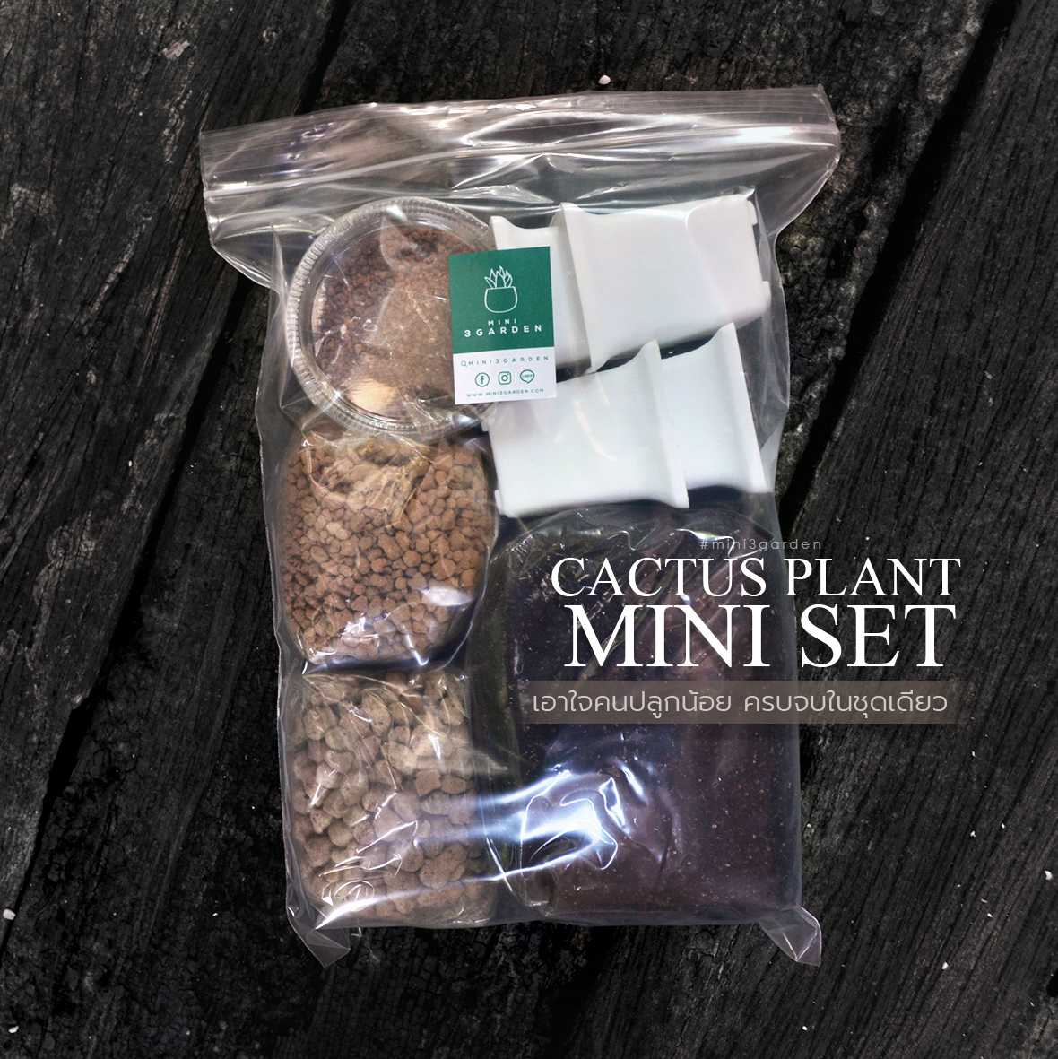 ชุดปลูก กระบองเพชร ขนาดเล็ก CACTUS PLANT MINI SET