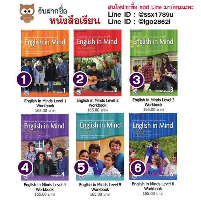 English in Minds Workbook M1-M6