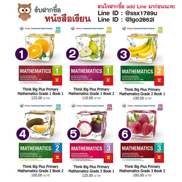 Think Big Plus Primary Mathematics Grade 1-3