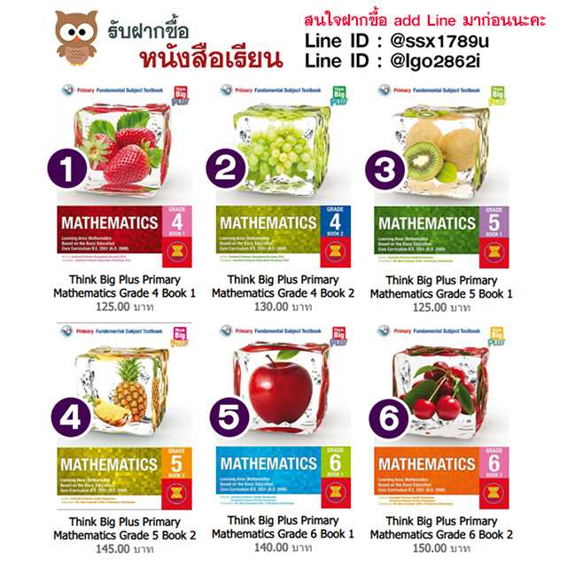 Think Big Plus Primary Mathematics Grade 4-6