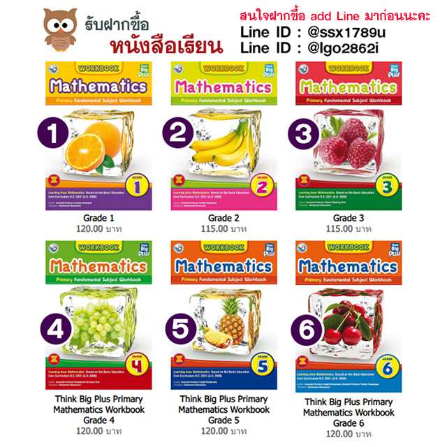 Think Big Plus Primary Mathematics Workbook Grade 1-6