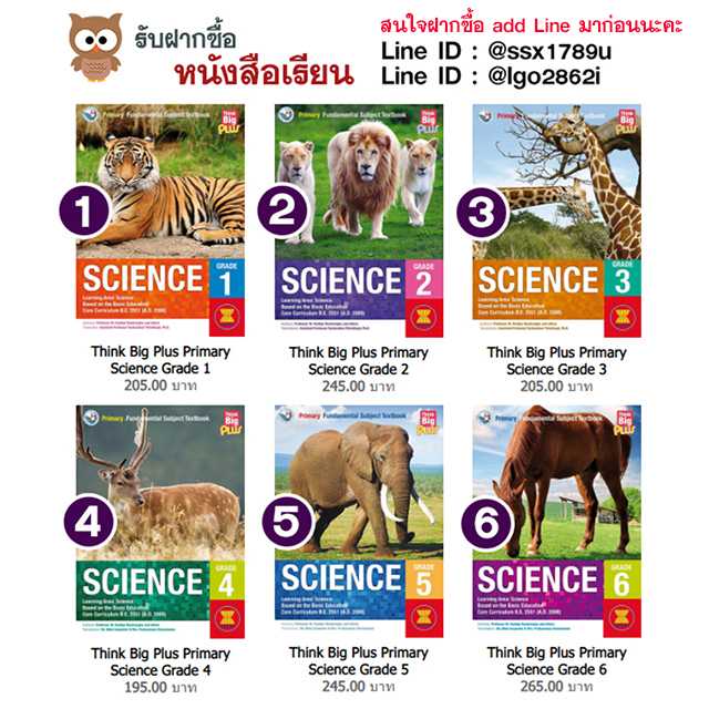 Think Big Plus Primary Science Grade 1-6