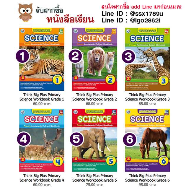 Think Big Plus Primary Science Workbook Grade 1-6