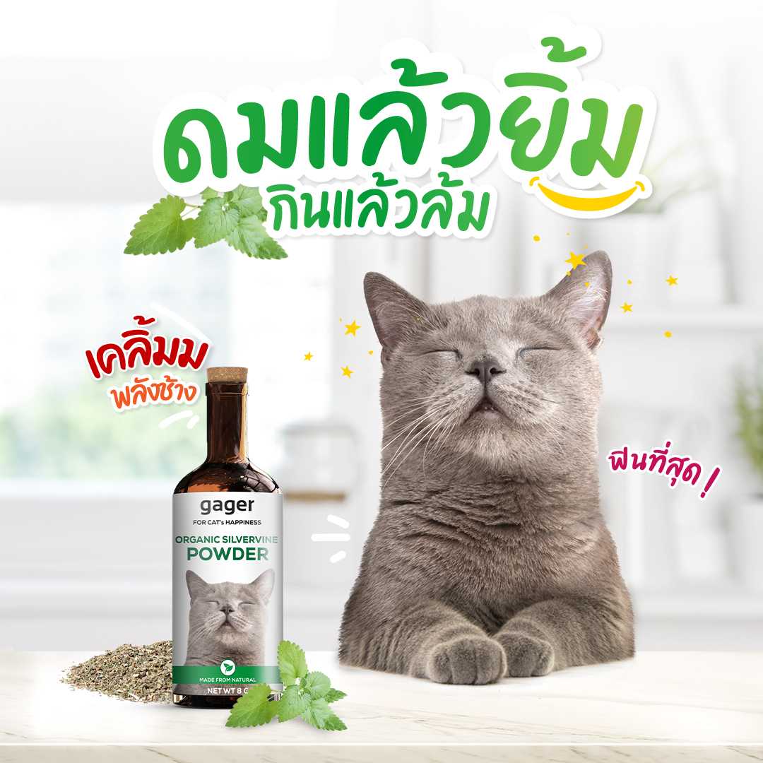 gager กัญชาแมว พลังช้าง ไม้มาทาทาบิ ชนิดผง ออร์แกนิค ทำให้แมวฟินที่สุด ขนาด 8g